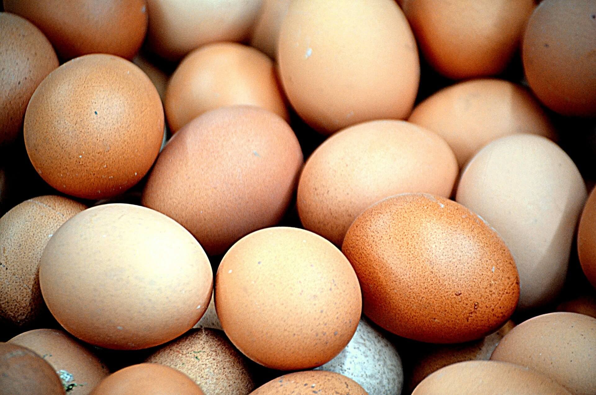 Egg 2