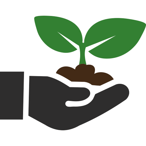 Eco-Friendly and Sustainable Practices