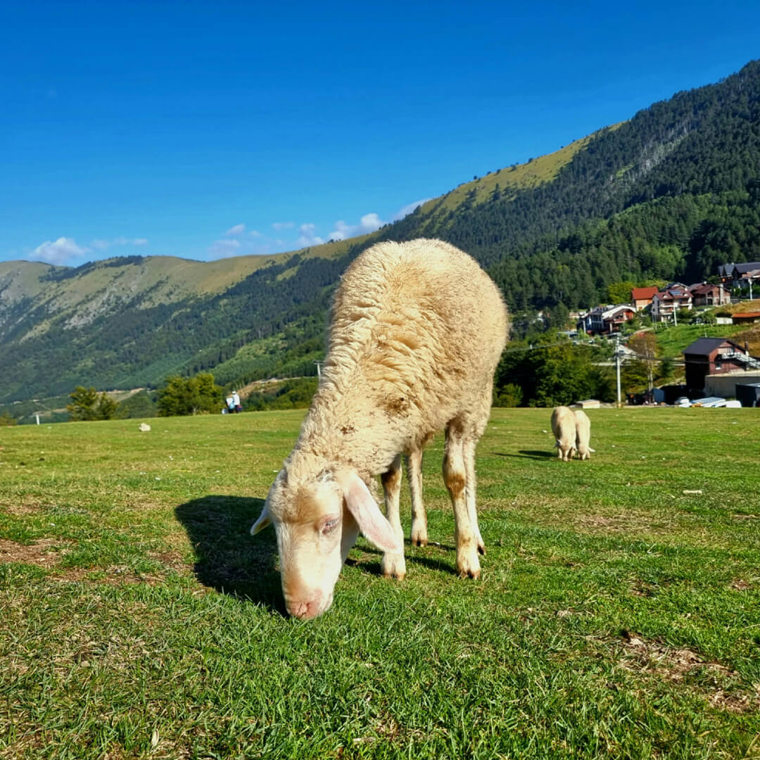 Jezersko Solčava